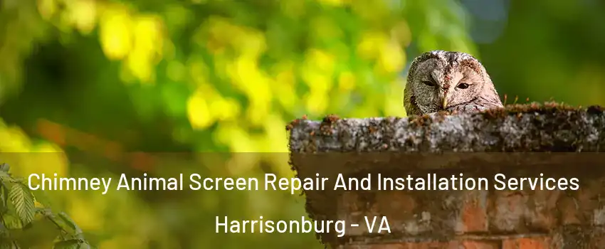  Chimney Animal Screen Repair And Installation Services Harrisonburg - VA
