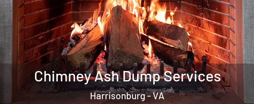  Chimney Ash Dump Services Harrisonburg - VA