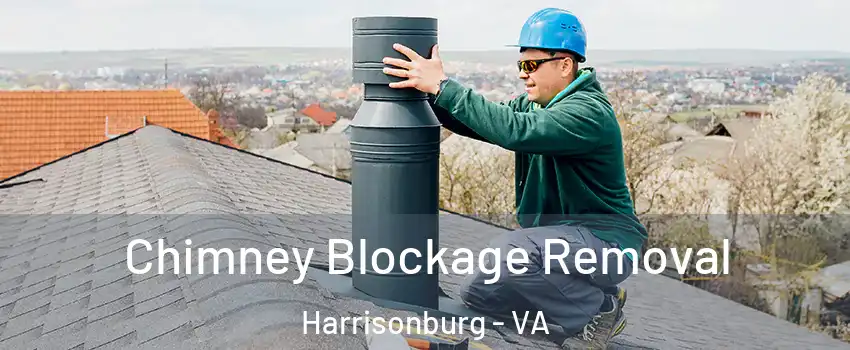  Chimney Blockage Removal Harrisonburg - VA