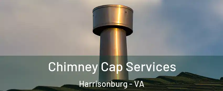  Chimney Cap Services Harrisonburg - VA