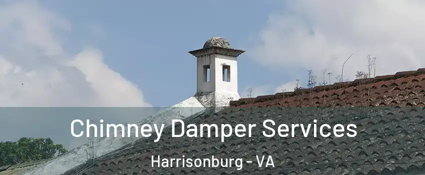  Chimney Damper Services Harrisonburg - VA