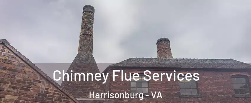  Chimney Flue Services Harrisonburg - VA