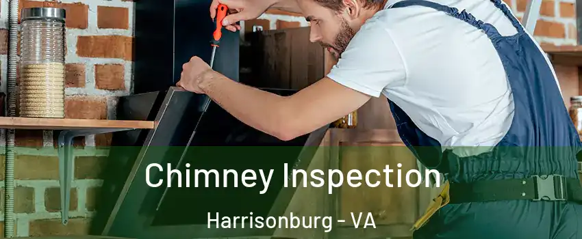  Chimney Inspection Harrisonburg - VA