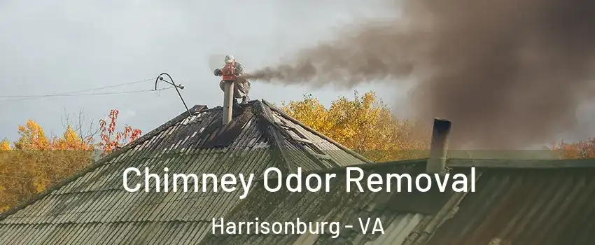  Chimney Odor Removal Harrisonburg - VA