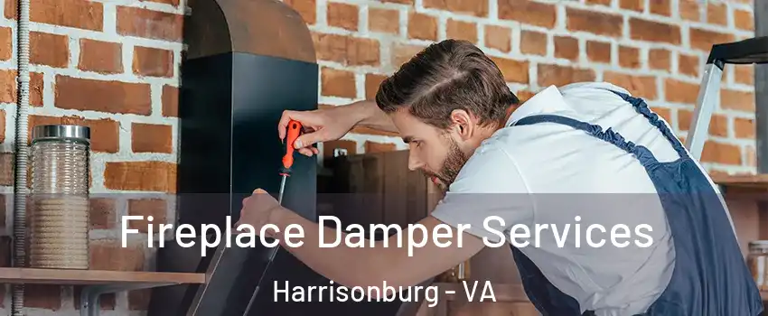  Fireplace Damper Services Harrisonburg - VA