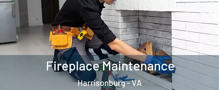  Fireplace Maintenance Harrisonburg - VA