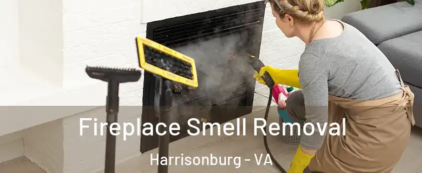  Fireplace Smell Removal Harrisonburg - VA