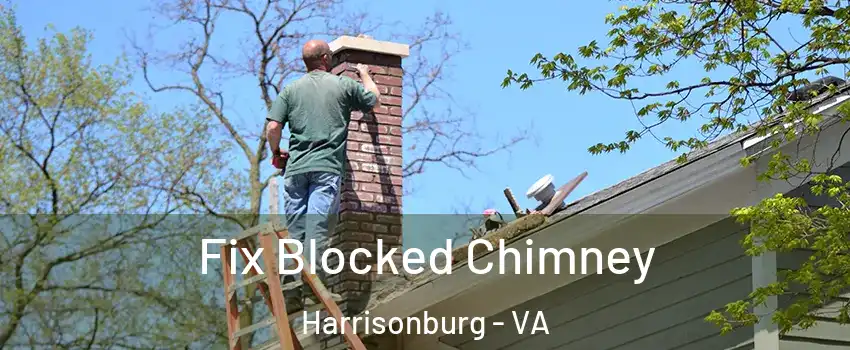  Fix Blocked Chimney Harrisonburg - VA