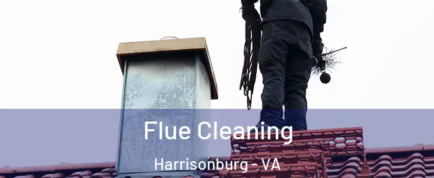  Flue Cleaning Harrisonburg - VA