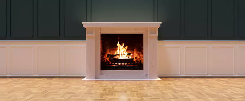 Napoleon Electric Fireplaces Inspection Service in Harrisonburg, Virginia