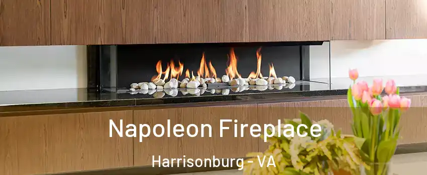  Napoleon Fireplace Harrisonburg - VA