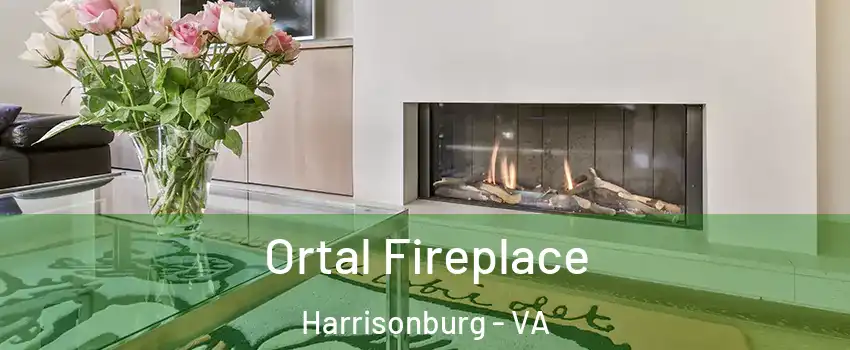 Ortal Fireplace Harrisonburg - VA