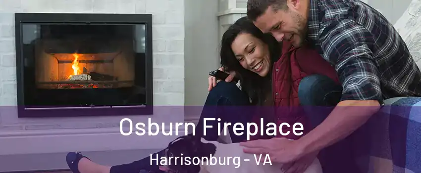  Osburn Fireplace Harrisonburg - VA
